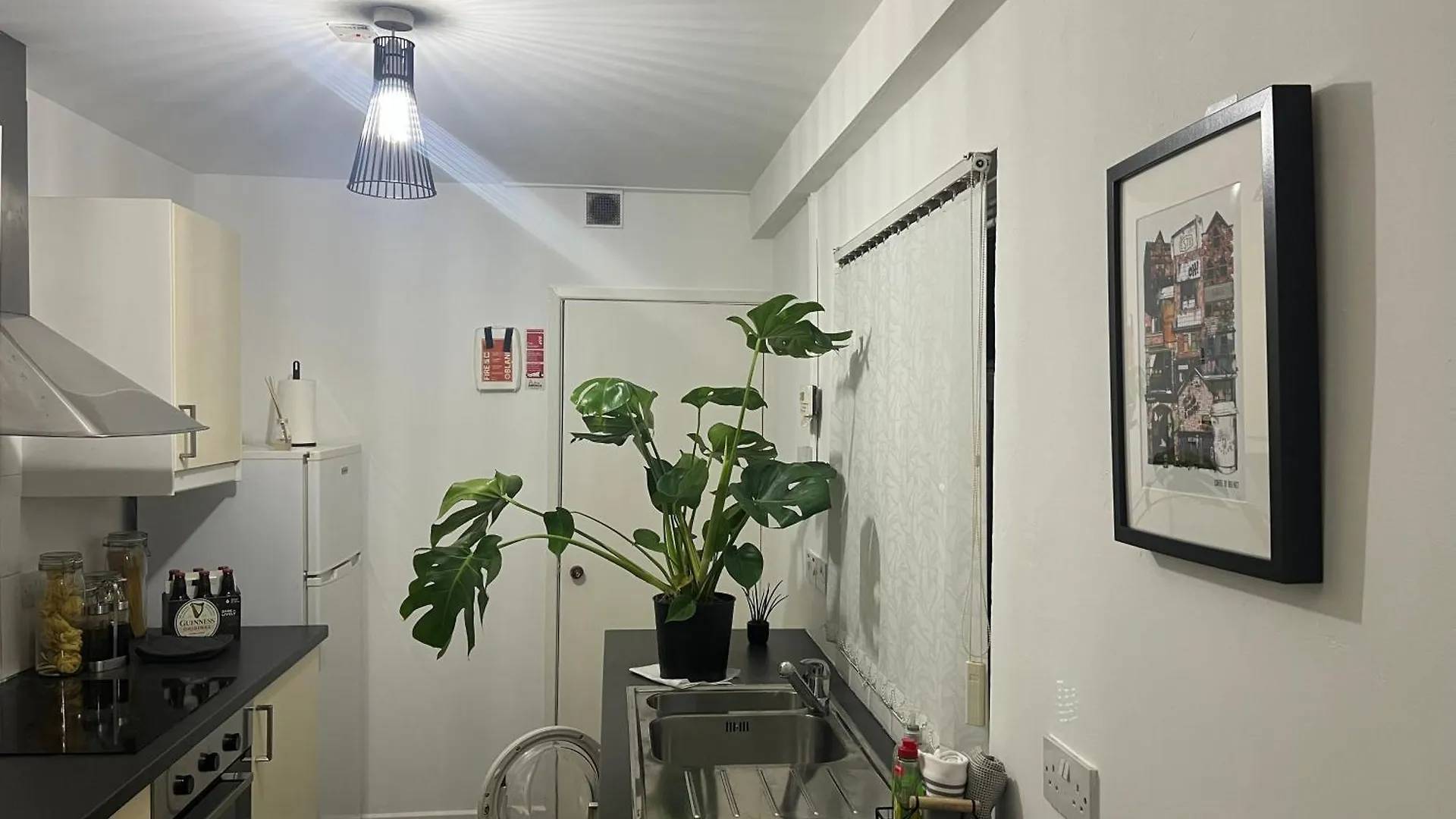 Loganberry Apartment Belfast United Kingdom