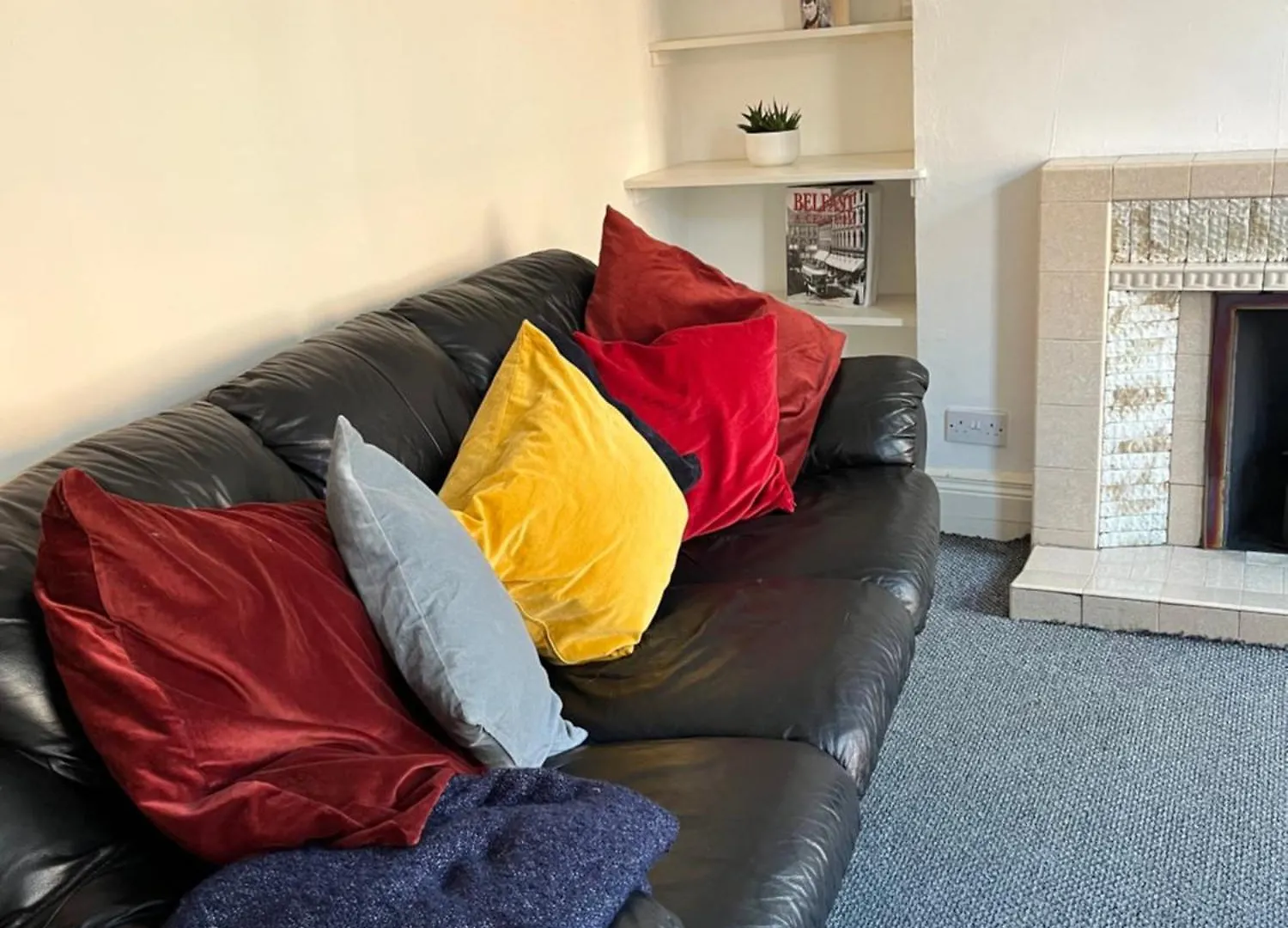 Loganberry Apartment Belfast